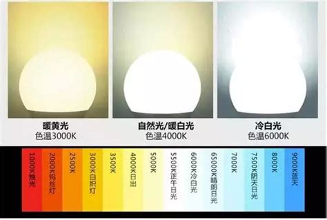 燈泡亮度選擇 咖啡色是什麼顏色加什麼顏色
